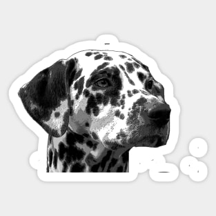 Dalmation Sticker